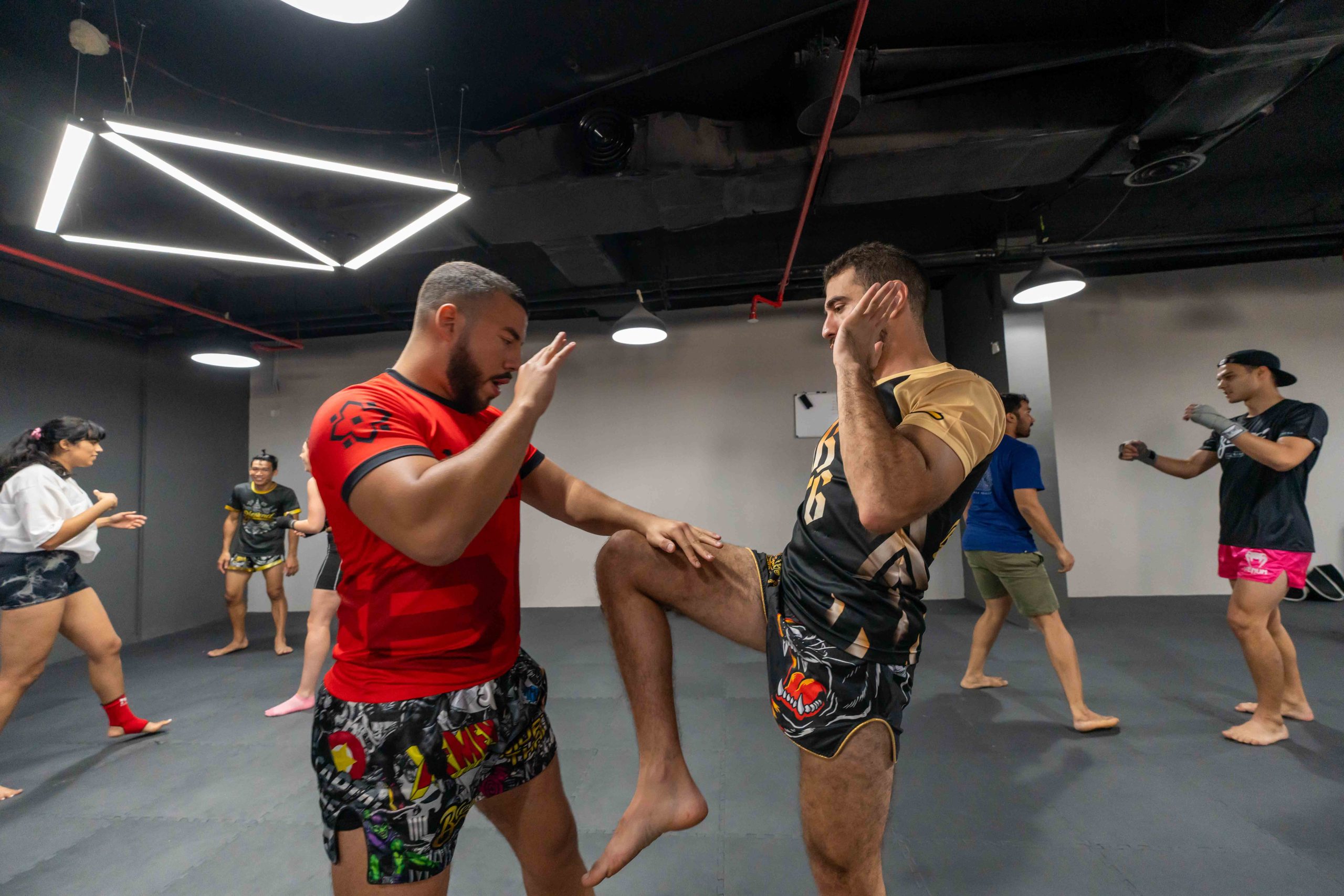 MMA gym Dubai classes