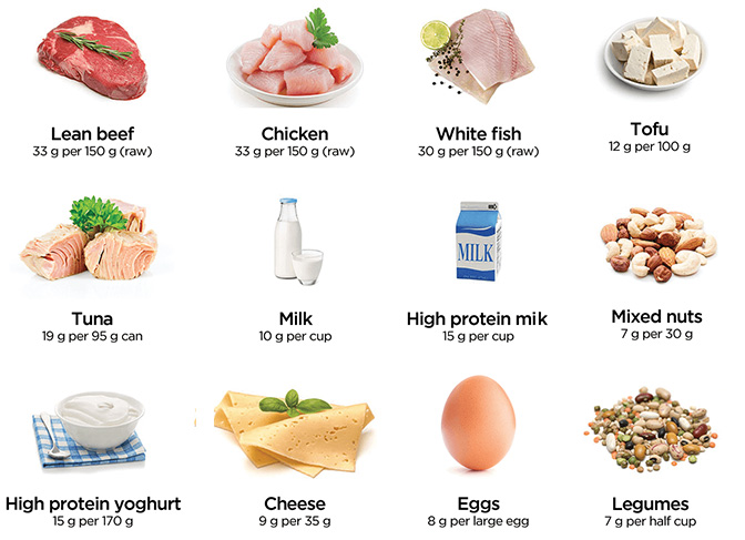 Protein: The Foundation of Your Diet